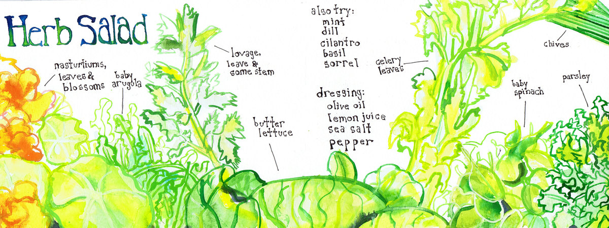 Herb Salad by Naomi Bardoff Herbsalad