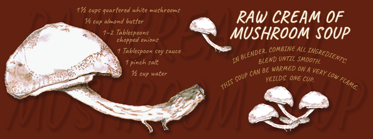 Raw Cream of Mushroom Soup by Rikki Asher Raw cream of mushroom soup final