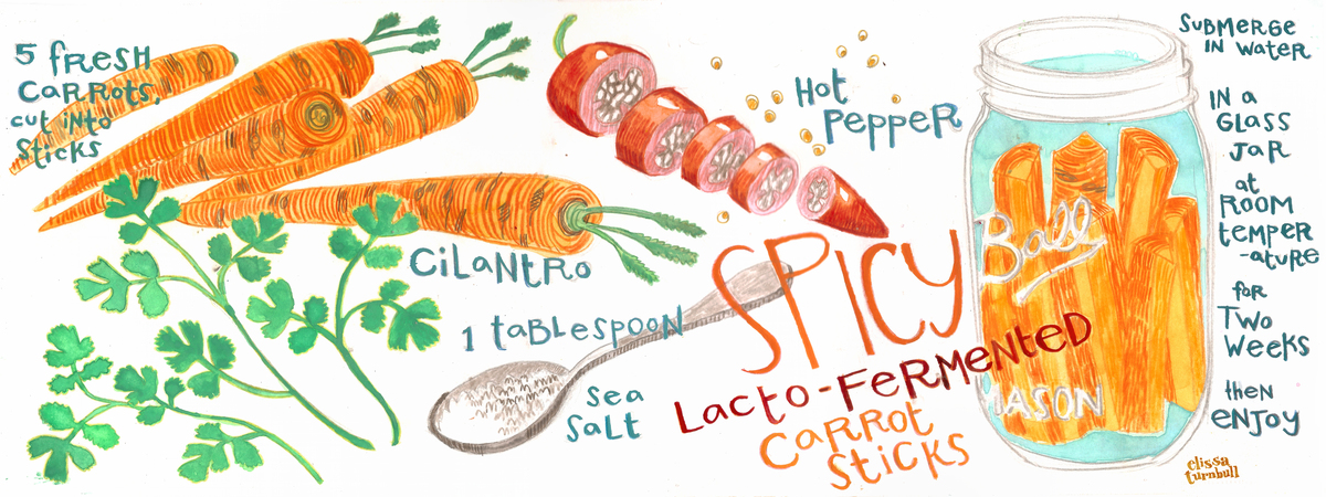 Spicy Lacto-Fermented Carrot Sticks by Elissa Turnbull Spicy lacto fermented carrot sticks