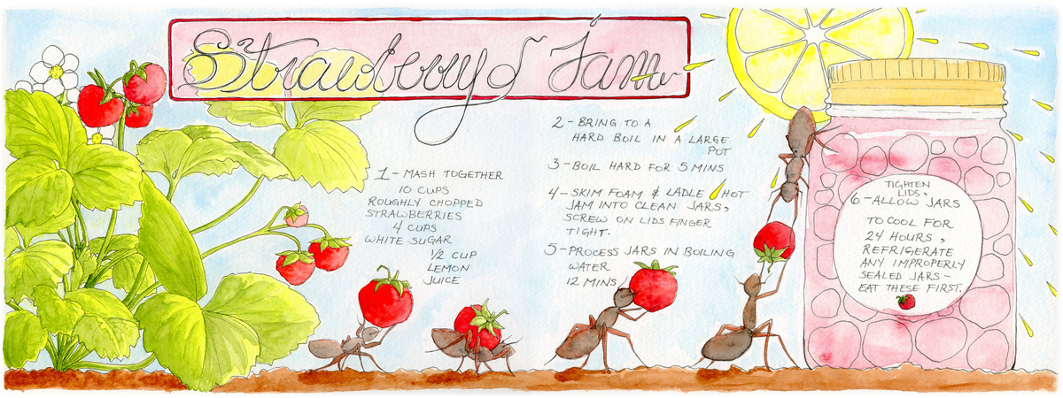 Strawberry Jam by Genevieve Strawberryjam