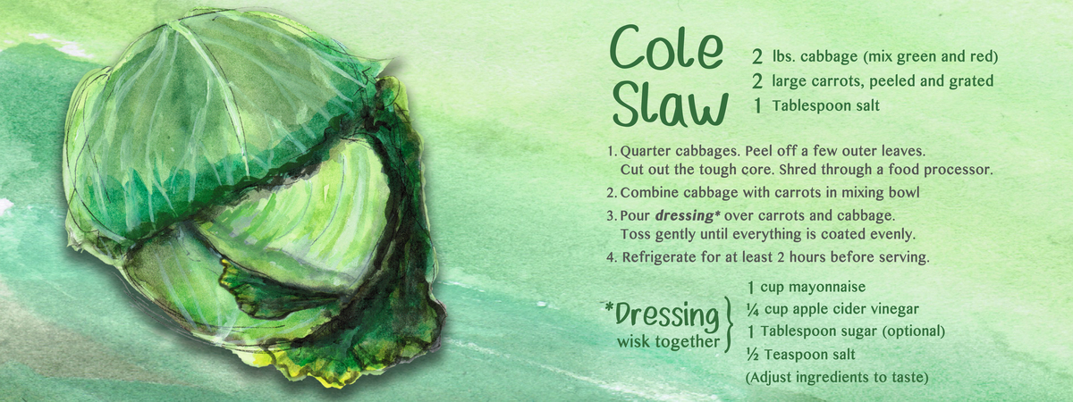 Cole Slaw by Rikki Asher Cole slaw final%281%29