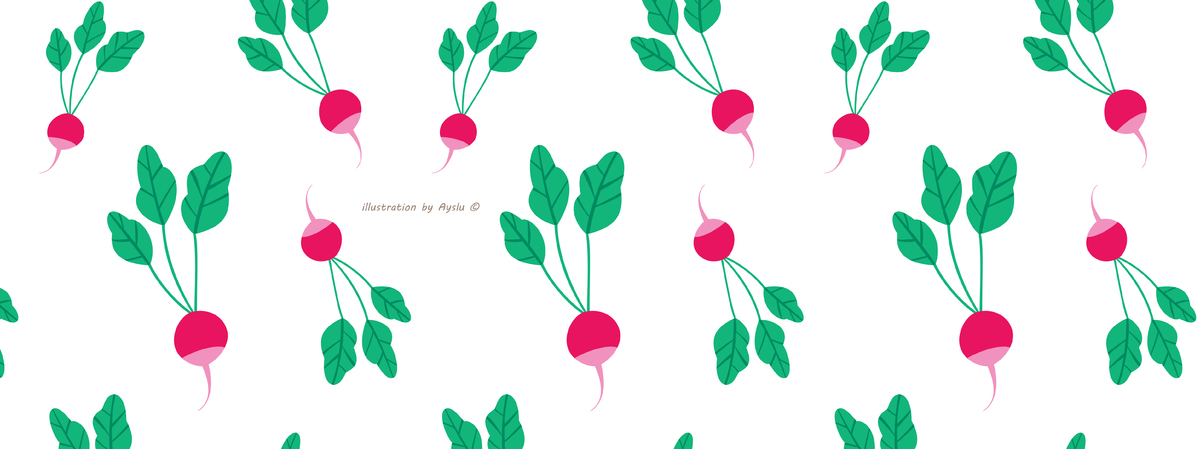 radish by Ayslu Elmas