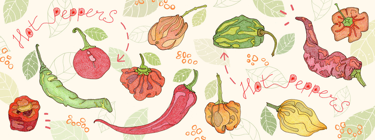 Hot hot hot! by Cécile