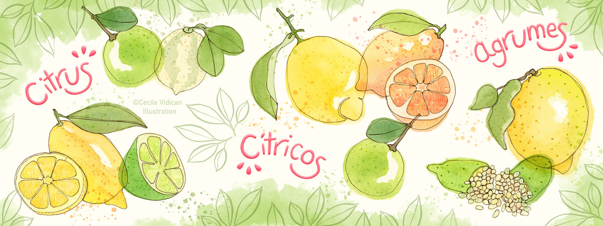 Juicy fruit by Cécile