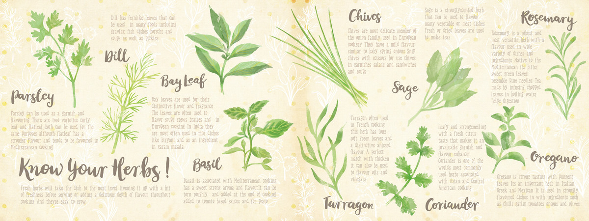 Know Your Herbs ! by Ohn Mar Win