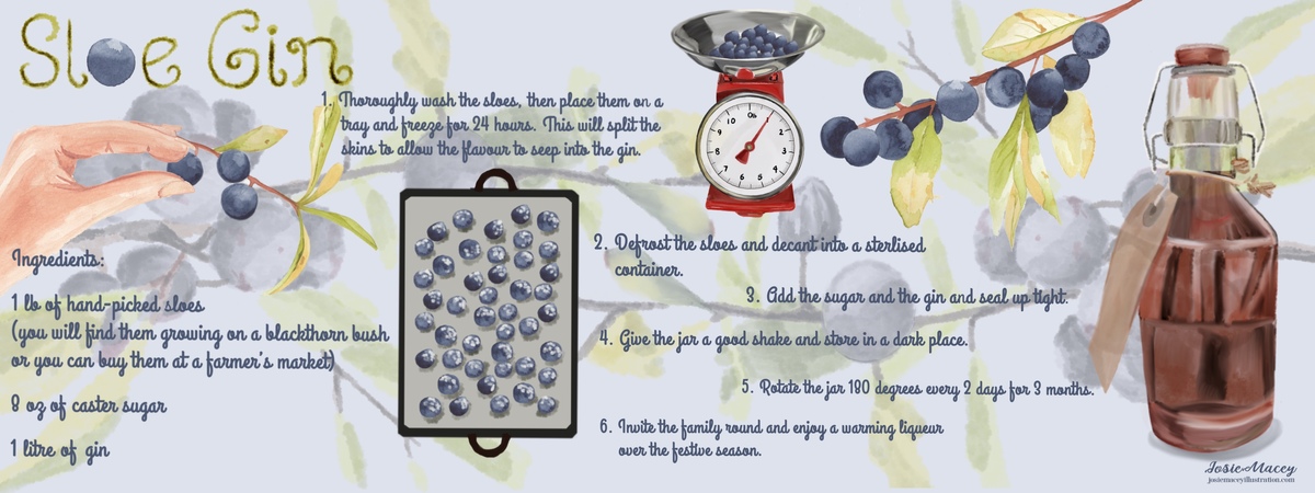 Sloe Gin by Josie Macey