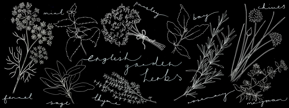 English Garden Herbs by Linda Fox