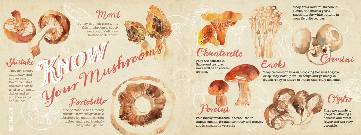 Know Your Mushrooms by Ohn Mar Win