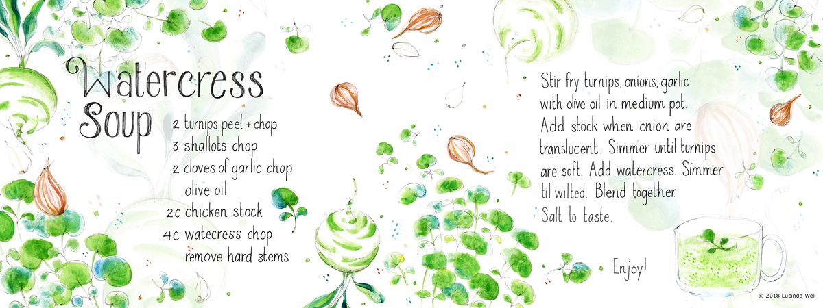 Watercress Soup by Lucinda Wei Lucindawei watercresssoup