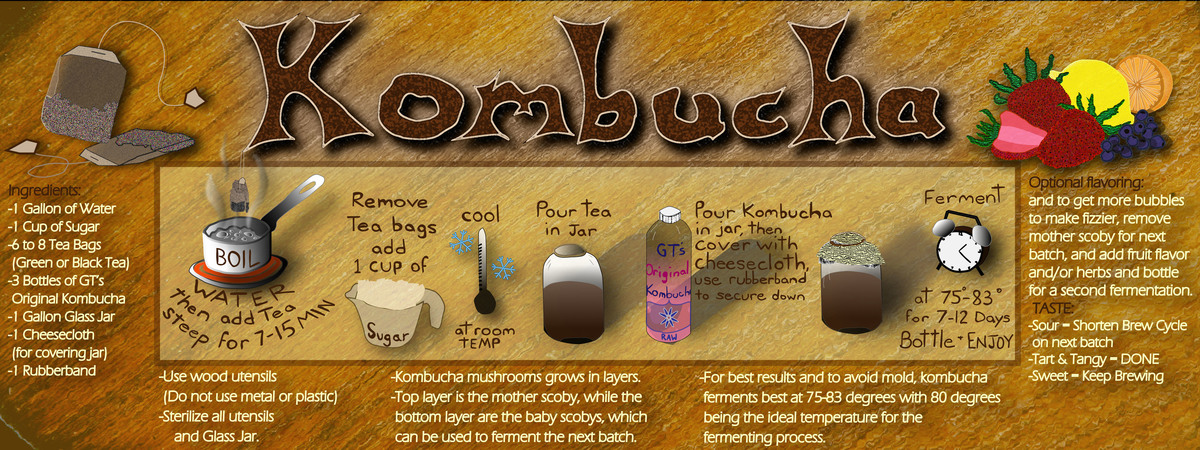 Kombucha Recipe by Jeffrey Gray Vaughan Tdc kombucha recipe project vaughan art231 jpeg