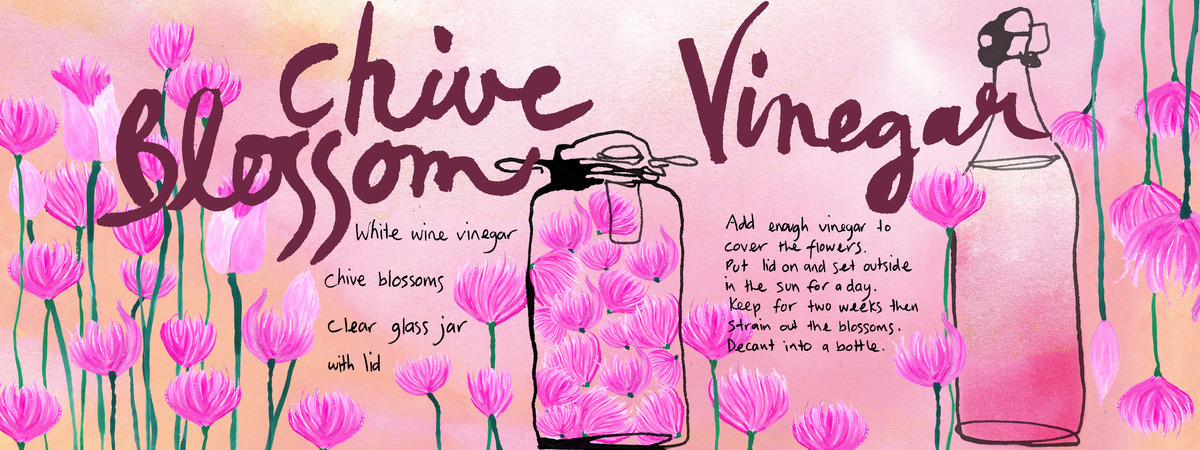 Chive Blossom Vinegar by Tracy Loughlin