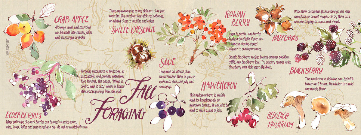 Fall Foraging by Ohn Mar Win