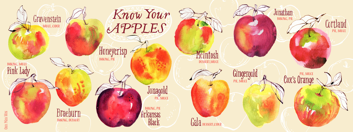 Know Your Apples by Ohn Mar Win