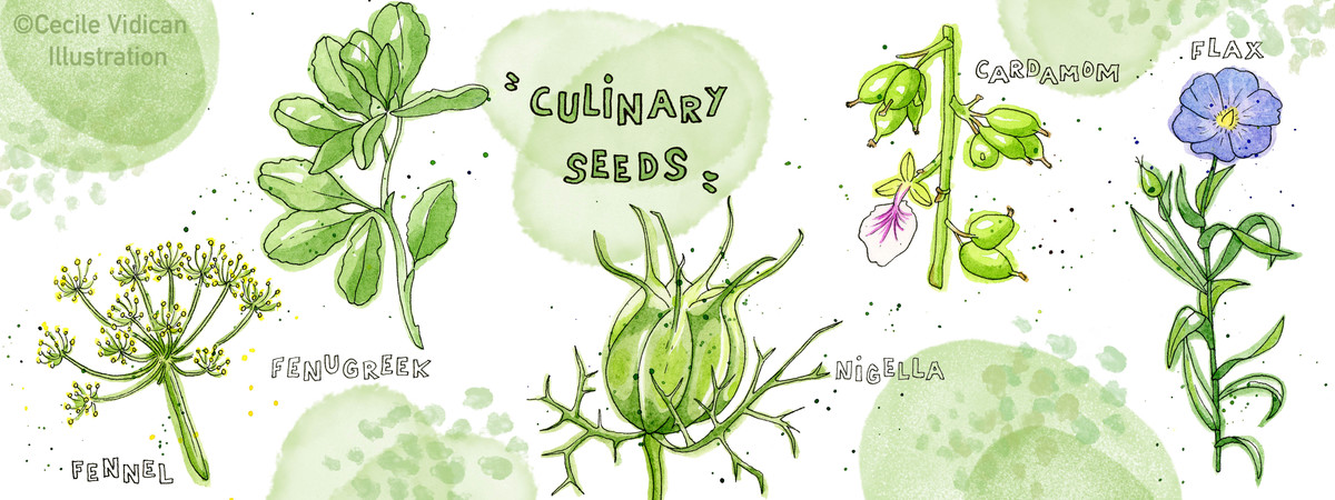 Culinary Seeds by Cécile