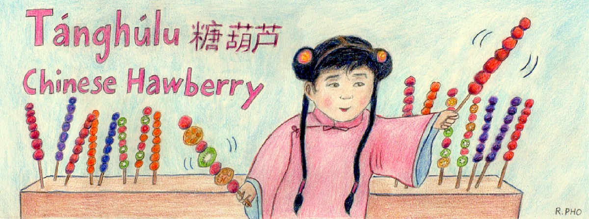 Tánghúlu - Chinese Hawberry by Robert Pho
