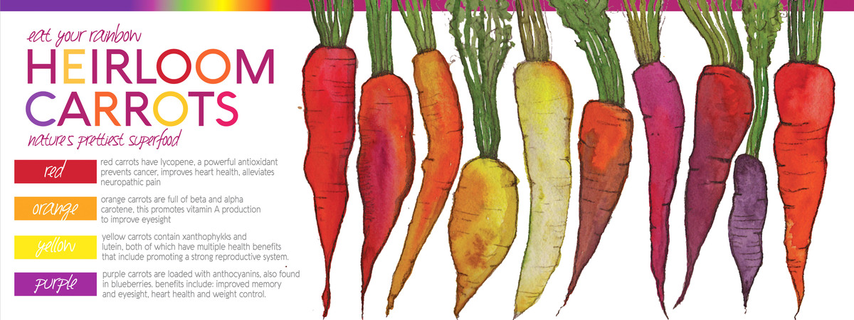Rainbow Carrots by Lisa Graves