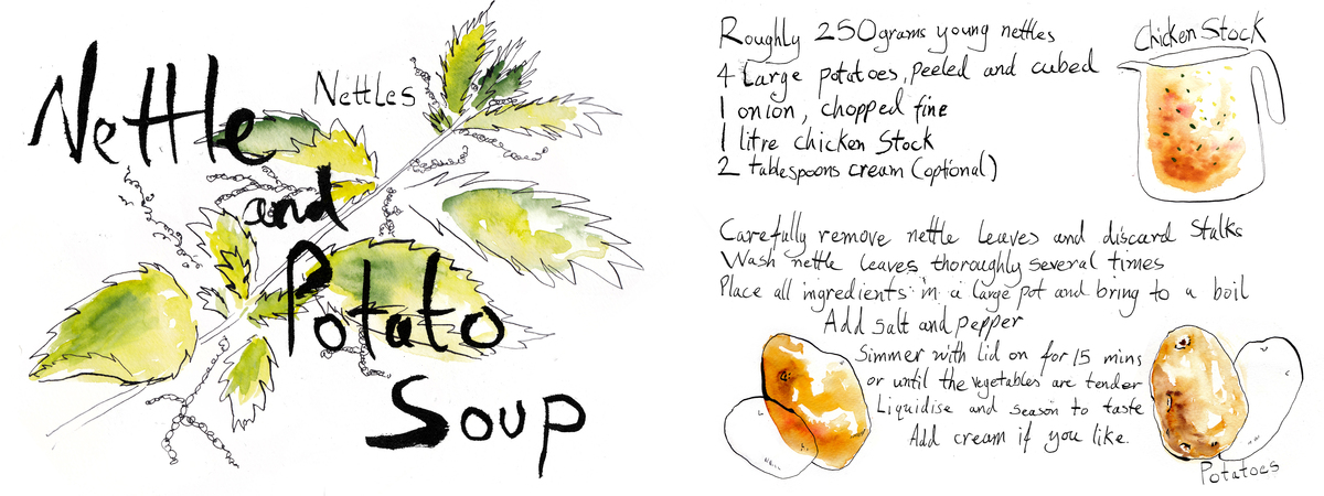 Traditional Scottish Nettle Soup by Jen Clemenson