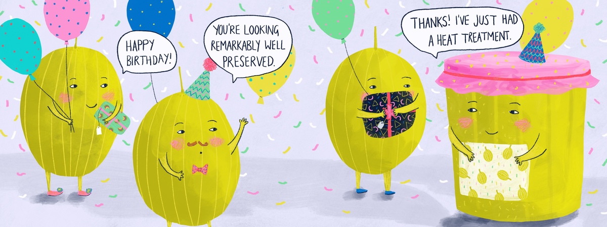 Gooseberry Jam Party! by Christine Cuddihy Illustration