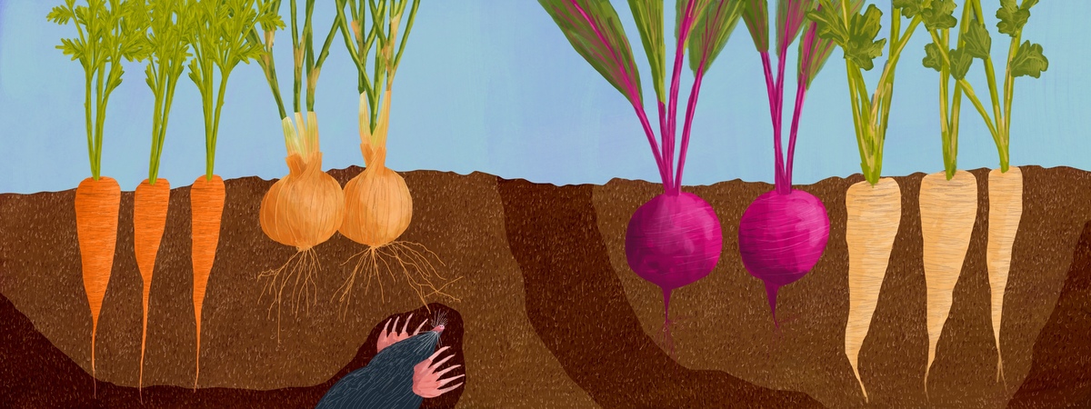 Going Underground by Christine Cuddihy Illustration