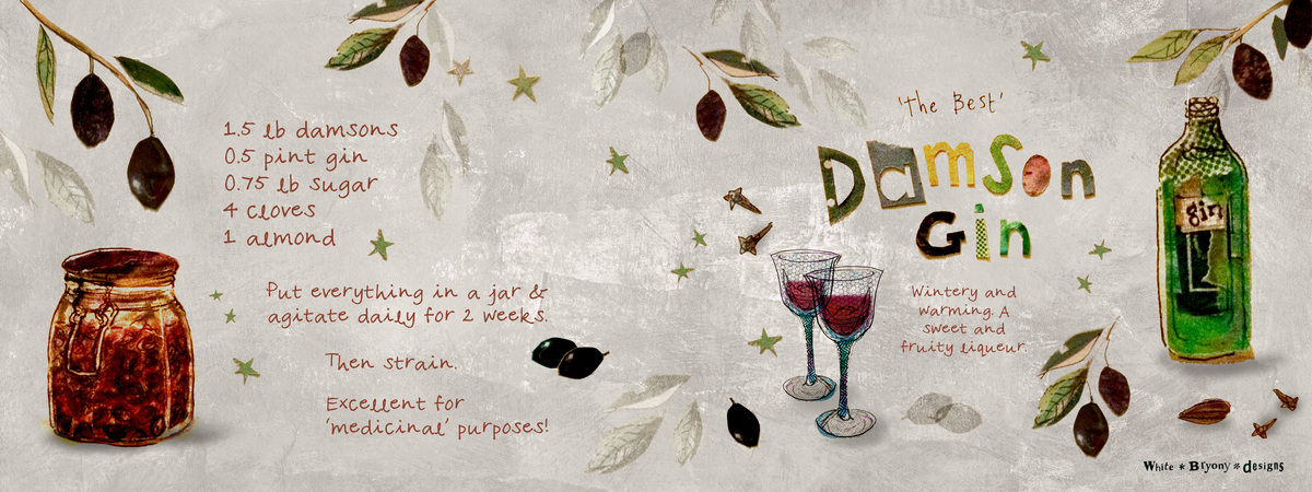 Damson Gin by Bryony Halsted