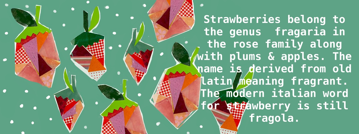 Strawberry fun fact by Jane Pakis