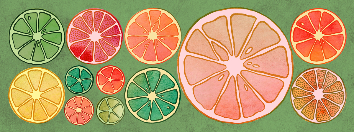 Citrus Wheels by Melissa Washburn