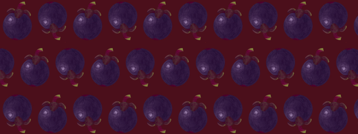 Mangosteen by Julia Ong