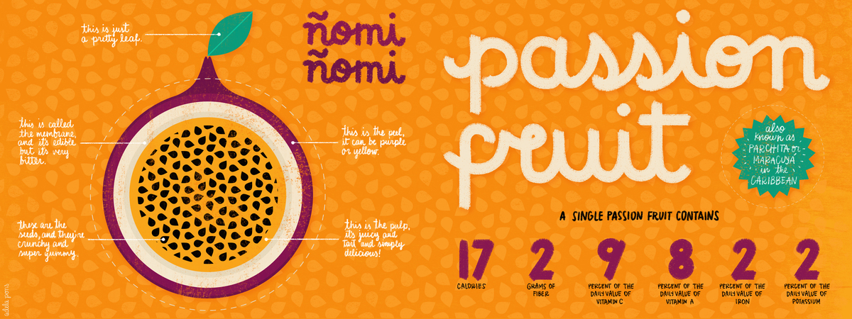 Passion Fruit Diagram by Adela Pons