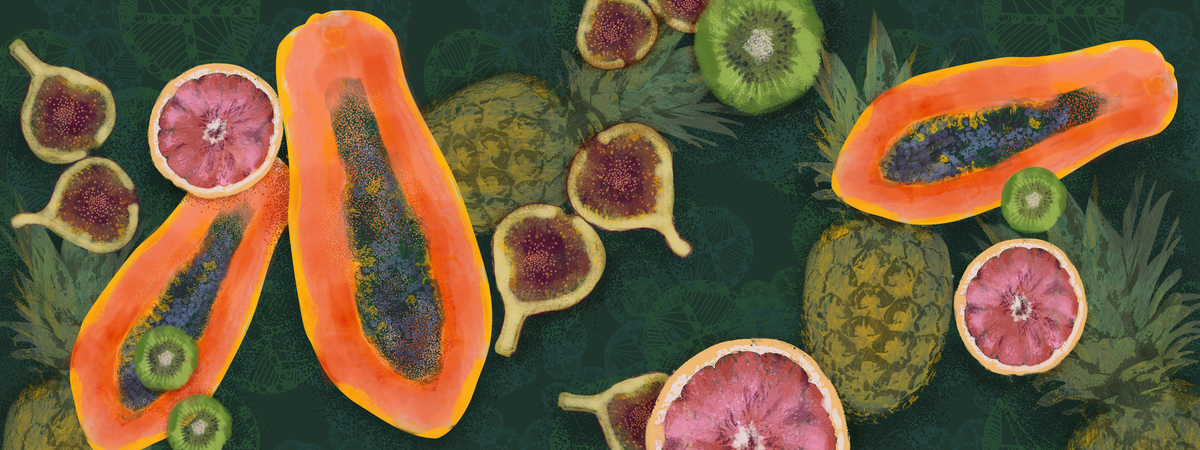 Food Geometry by Karen Dreyfus