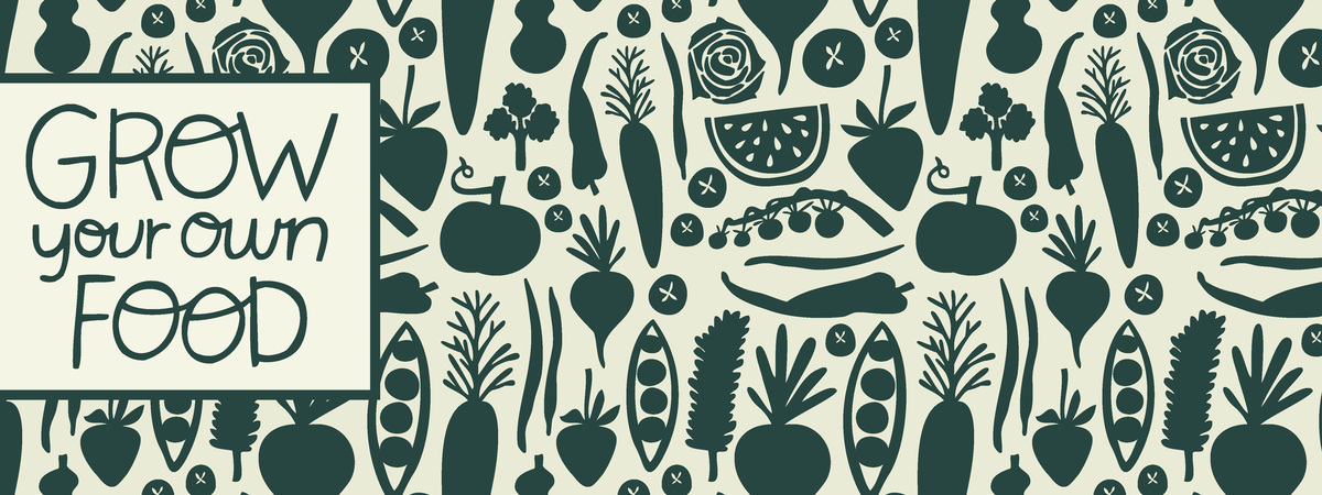 Grow Your Own Food by Anika Lacerte