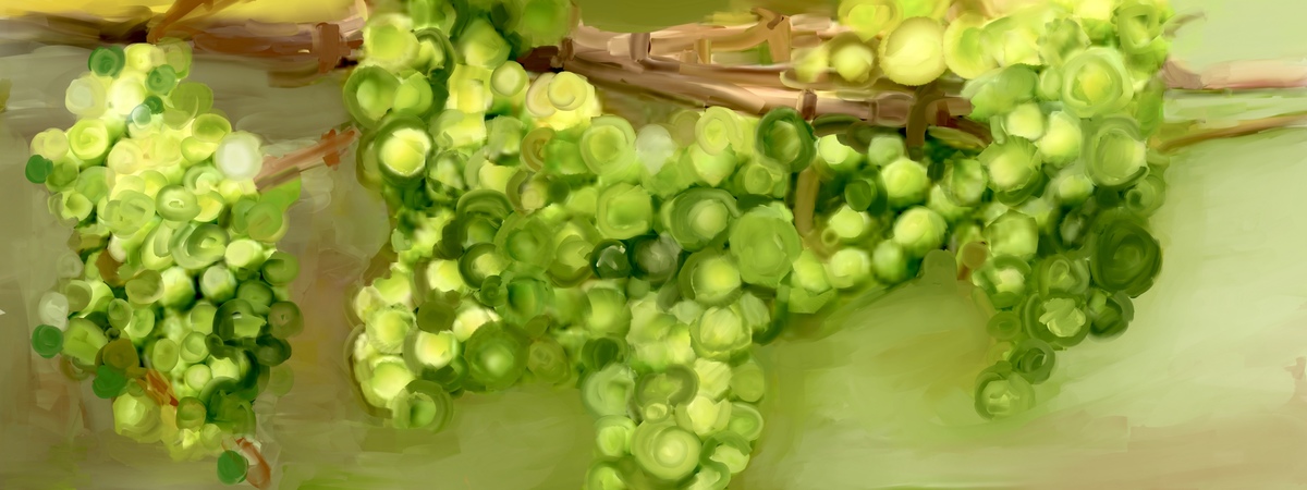 GREEN GRAPES by Jane Pakis