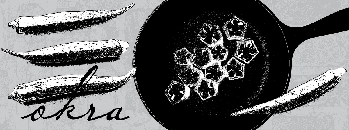 Okra by Shannon Kohn Creates