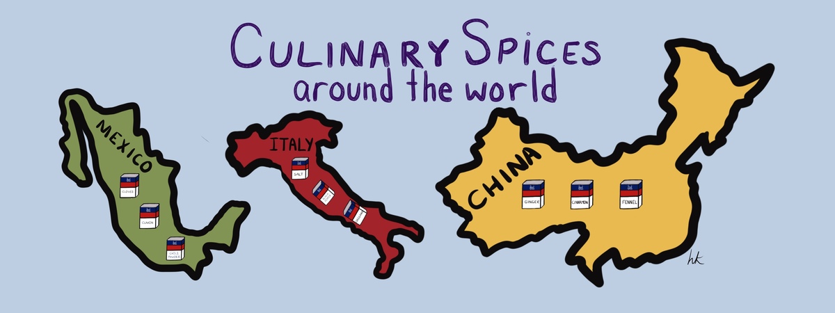 Culinary Spices Around the World by hkOriginals