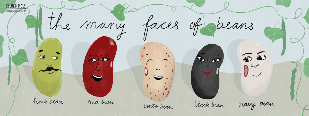 The many faces of beans by Esther Mols