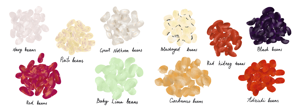 Beans Around the World by Tanya Amos