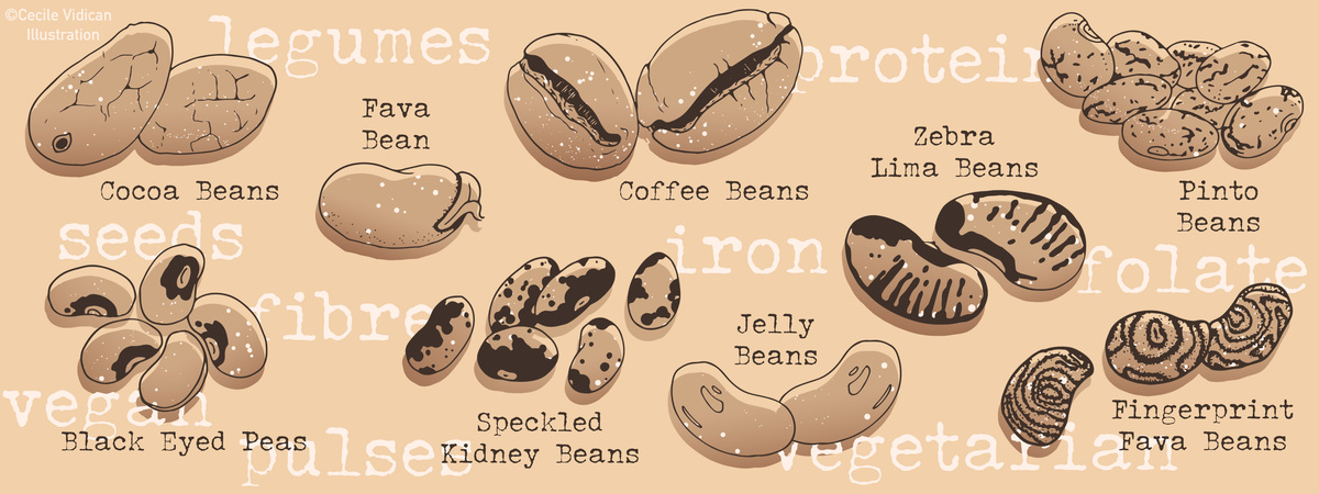 Beans Around The World! by Cécile