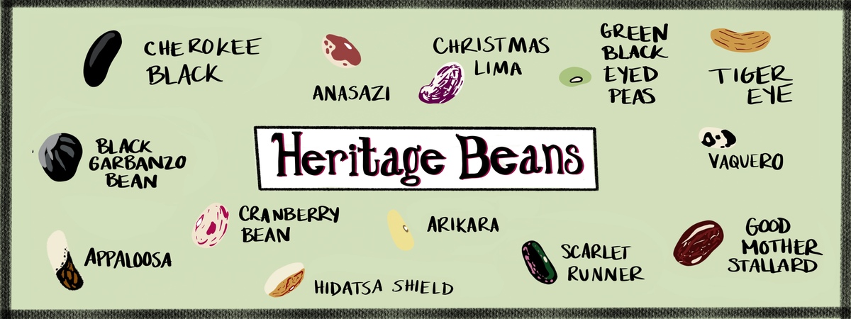 Heritage Beans by MichelleSolomonArt
