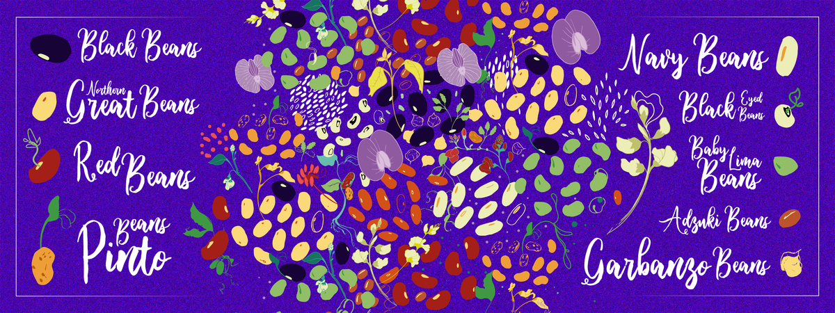 Firework Beans by Lucille Pattern