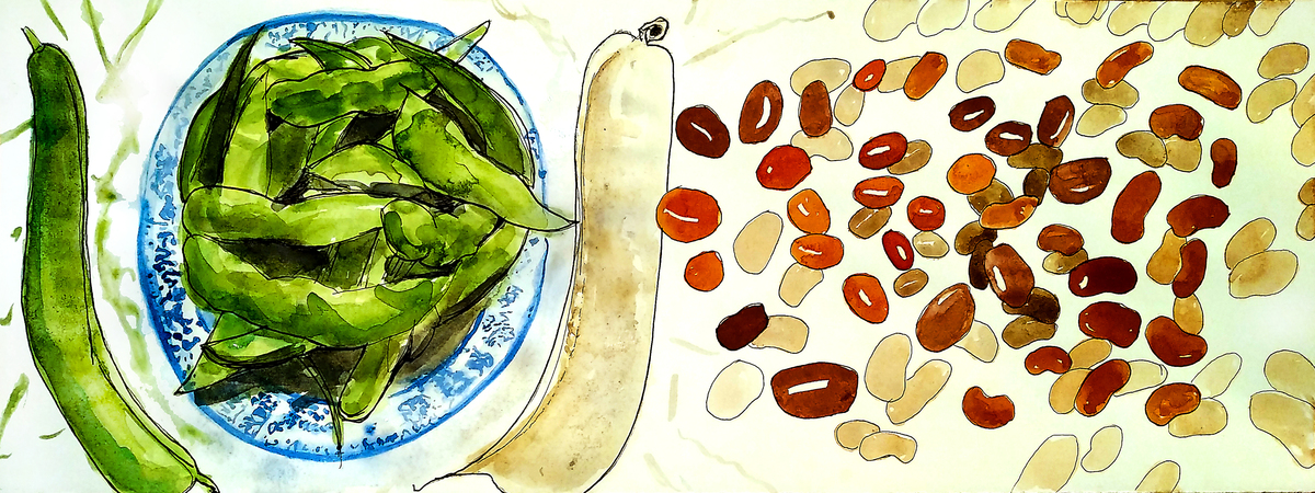 selected beans by Tim Soekkha