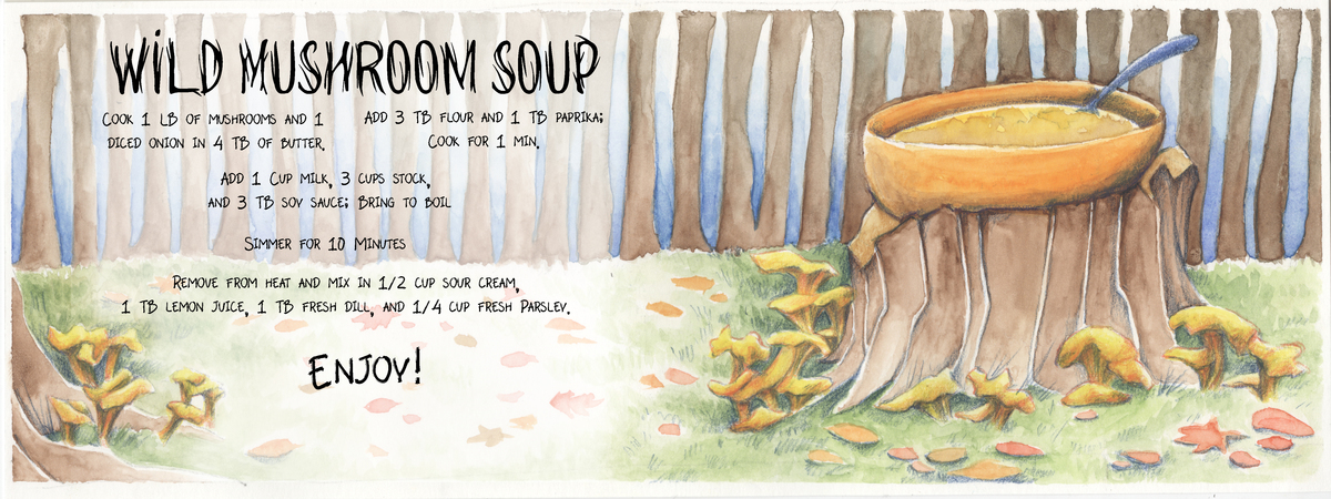 Wild Mushroom Soup by Rahatul