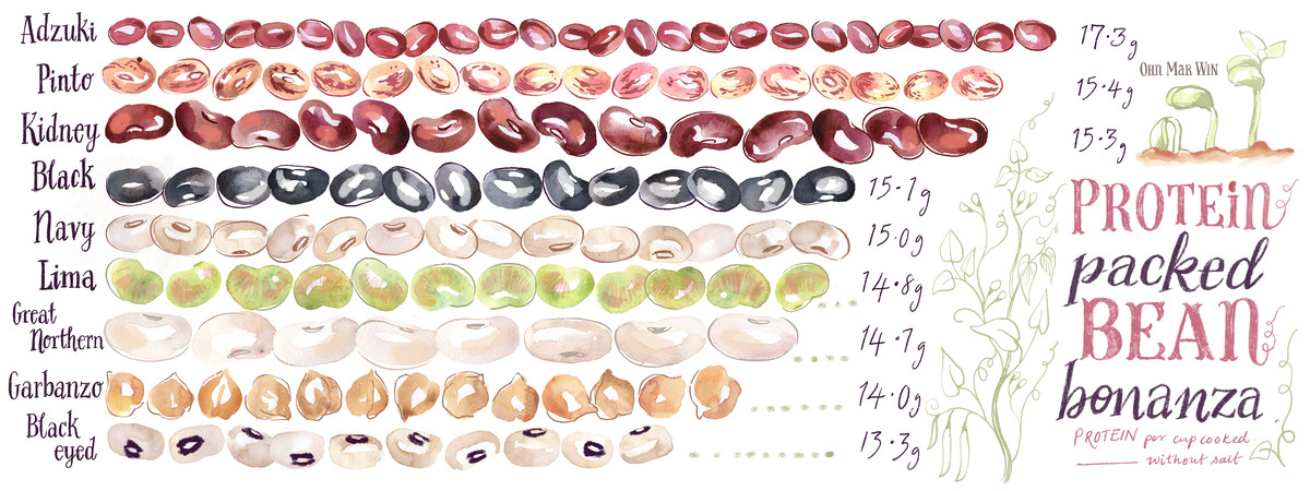 Protein Packed Bean Bonanza by Ohn Mar Win