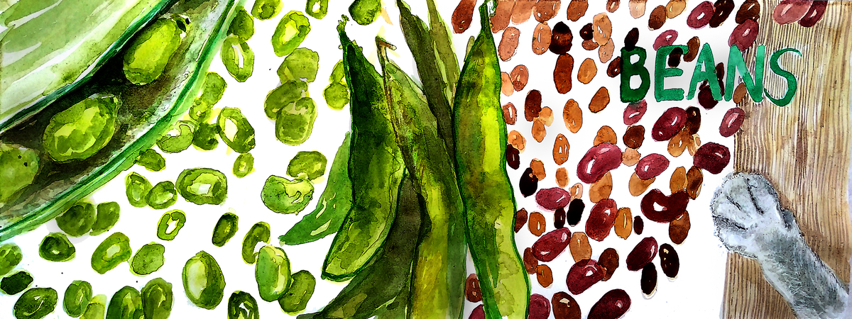 Random Beans by Tim Soekkha