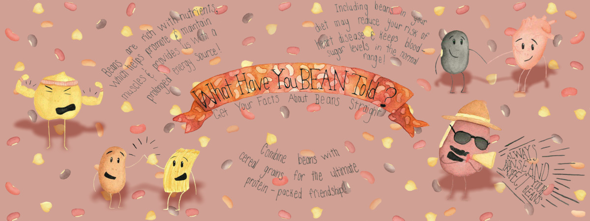 What Have You BEAN Told? by Reeann Krawchuk