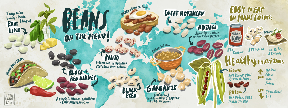 Beans on the Menu! by Tara Langlois