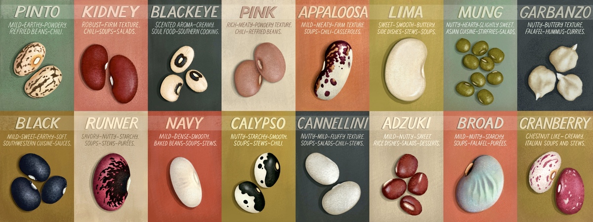 Beautiful Beans - A Cook's Guide by Janie Secker