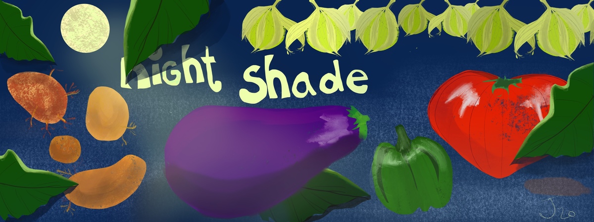 Night shadies by joturnerdesign