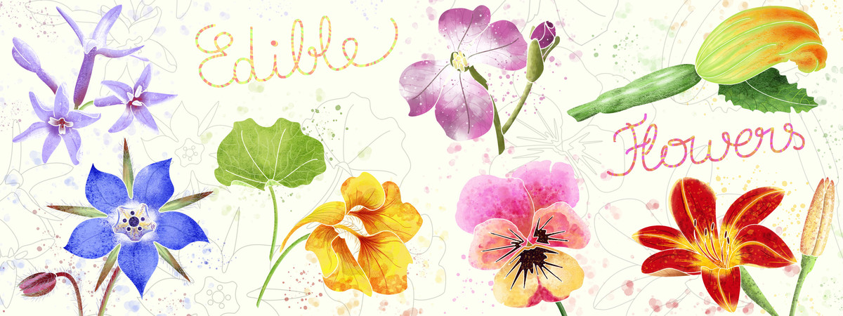 Edible Flowers by Cécile