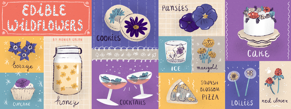 Edible Wildflowers by Monica Galan