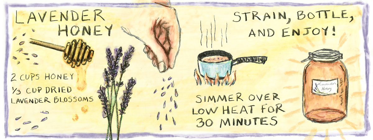 Lavender Honey by Megan Howe