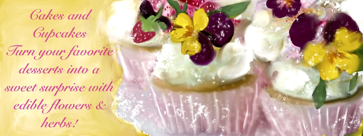 Cakes & Cupcakes! by Jane Pakis